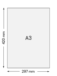 A3